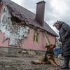 Mulher ucraniana com seu cachorro parada em frente a uma casa danificada