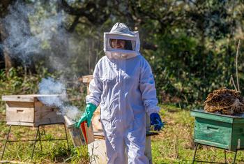 Las mujeres emprendedoras de Colonia Alegría, en Argentina, están avanzando en el desarrollo de sus iniciativas productivas, como la apicultura, los gallineros y los viveros forestales, que integran prácticas sostenibles en sus bosques nativos. 