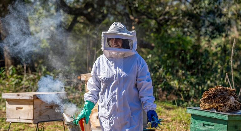 Las mujeres emprendedoras de Colonia Alegría, en Argentina, están avanzando en el desarrollo de sus iniciativas productivas, como la apicultura, los gallineros y los viveros forestales, que integran prácticas sostenibles en sus bosques nativos. 