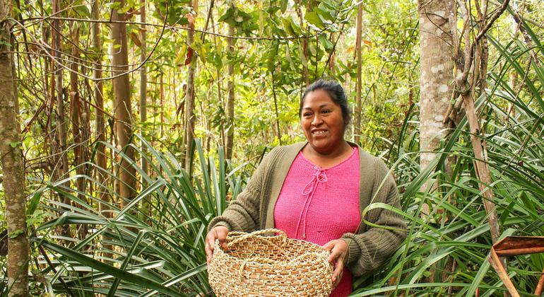 Mercedes Huincateo, una mujer del pueblo indígena Lafkenche Mapuche, conserva el tejido Pilwa como patrimonio cultural y medio de vida.