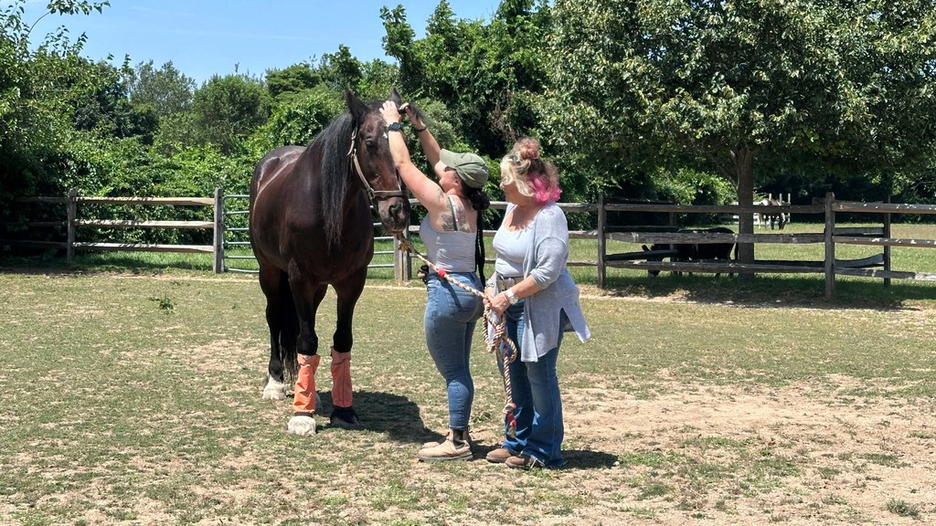 El santuario para caballos Spirit’s Promise ofrece un santuario de curación tanto para animales como para humanos.