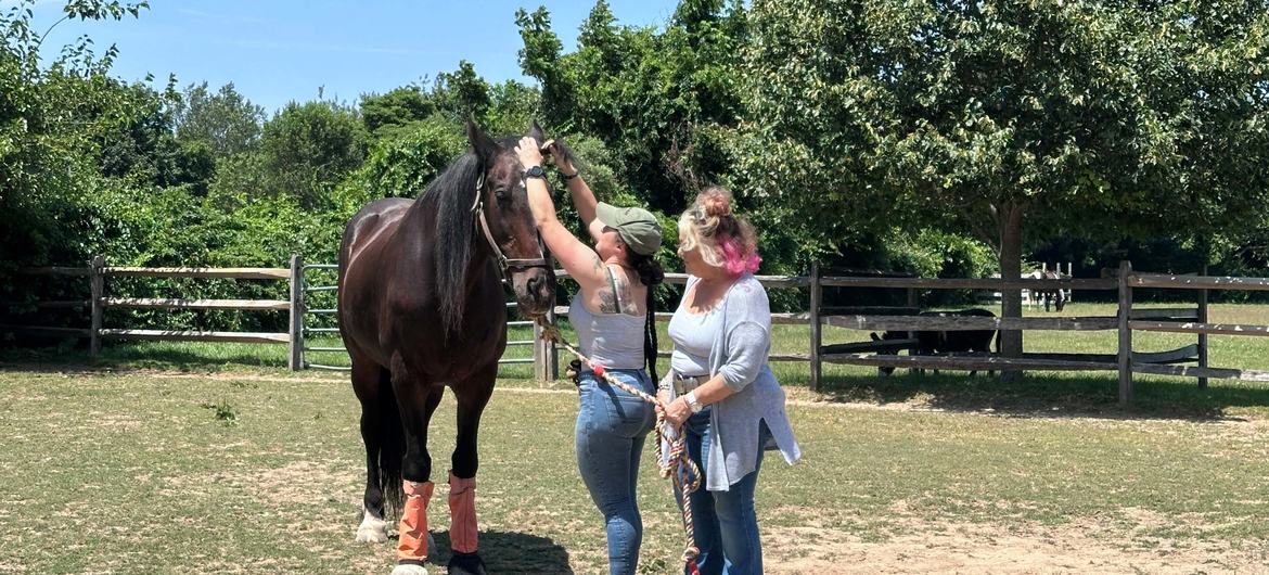 Located on Long Island New York's scenic North Fork, Spirit's Promise provides a sanctuary of healing for both animals and humans alike. Located on Long Island New York's scenic North Fork, Spirit's Promise provides a sanctuary of healing for both animals and humans alike.