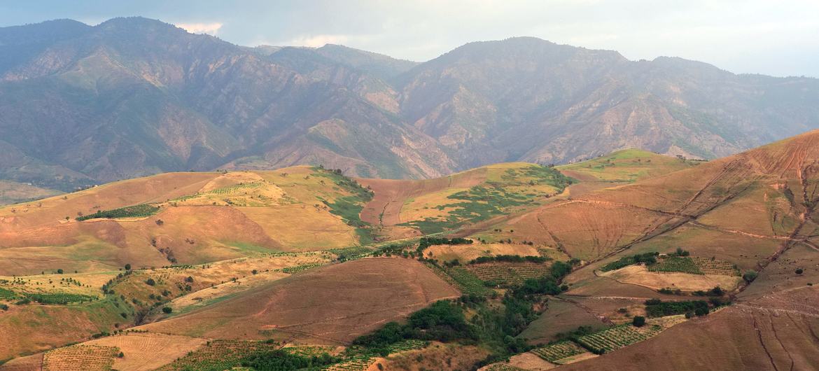 Интегрированная агропастбищная система в долине Алмоси в Таджикистане сочетает сезонное отгонное животноводство овец с выращиванием винограда, зерновых, плодовых садов и овощей.