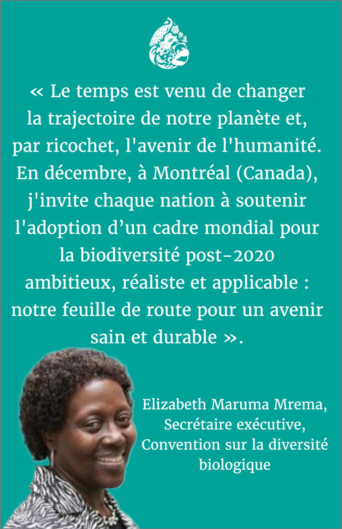 « Le temps est venu de changer la trajectoire de notre planète et, par ricochet, l'avenir de l'humanité. En décembre, à Montréal (Canada), j'invite chaque nation à soutenir l'adoption d’un cadre mondial pour la biodiversité post-2020 ambitieux, réaliste …