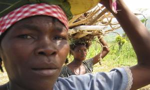 Wanawake wakiwa wamebeba kuni huko Haiti mwaka 2004
