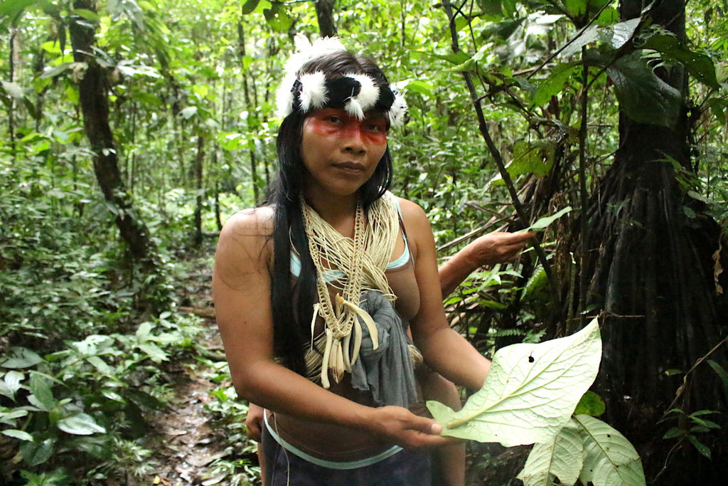 Milhões de pessoas, a maioria indígenas, sofrem efeitos da baixa das águas de muitos rios da bacia amazônica