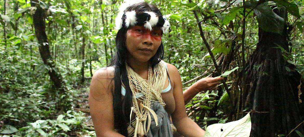 Os Waorani, Waodani ou Huaorani, também conhecidos como Waos, são um povo indígena da região amazônica do Equador que apresenta diferenças marcantes em relação a outros grupos étnicos do Equador