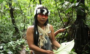 Los Waorani, Waodani o Huaorani, también conocidos como los Waos, son un pueblo indígena de la región amazónica de Ecuador que presenta marcadas diferencias con otros grupos étnicos de Ecuador.