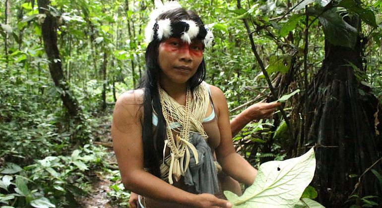 The Waorani, Waodani, or Huaorani, also known as the Waos, are an Indigenous people from the Amazonian Region of Ecuador who have marked differences from other ethnic groups from Ecuador.