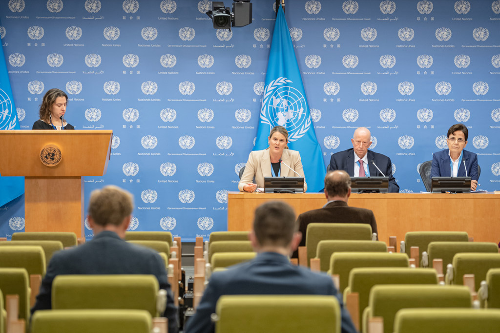 联合国酷刑问题特别报告员爱丽丝·爱德华兹10月14日在纽约联合国总部举行记者会。