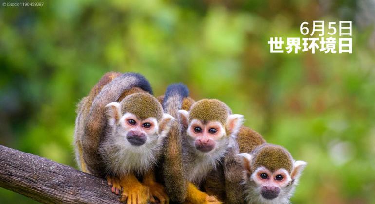 2025年世界环境日：塑战塑决！
