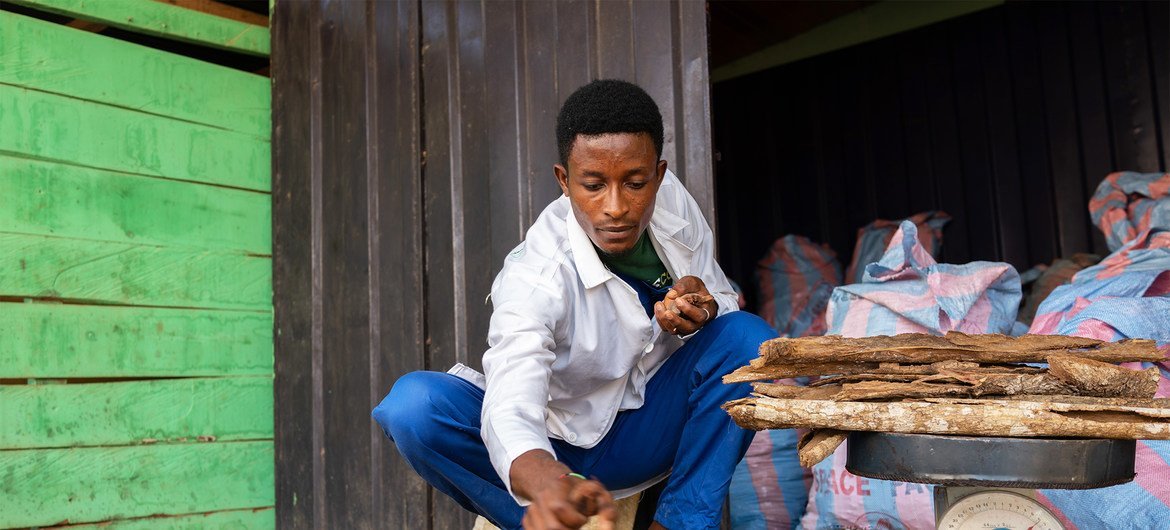 La médecine traditionnelle de qualité peut bénéficier à une grande partie de la population car elle est la principale, voire la seule, source de soins de santé pour environ 80 % des personnes en Afrique.