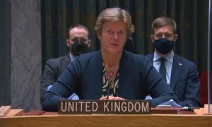Посол Великобритании при ООН Барбара Вудворд.