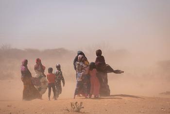在埃塞俄比亚索马里地区沙尘暴中站立的妇女和儿童。