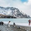 رجل يستعد للسباحة بينما تمرح طيور البطريق على شاطئ في أنتاركتيكا.
