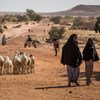 People walk on a road in the Tillaberi region in western Niger. (file photo)