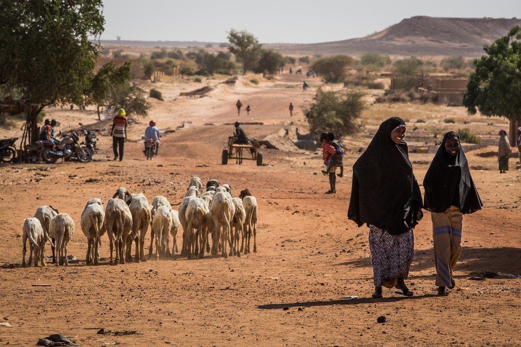 Des personnes et un troupeau sur une route dans la région de Tillaberi, dans le sud-ouest du Niger.
