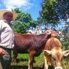 Álvaro Ramón, ganadero ecuatoriano, distribuye leche gratuita a las familias necesitadas de su comunidad durante el confinamiento debido al COVID-19.