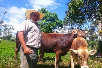 An Ecuadorian cattle farmer gives away free milk to families, helping those in need and avoiding food waste during the coronavirus pandemic.