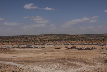 Une vue du camp pour personnes déplacées de Karashal dans la région de Sool, en Somalie. (5 juin 2022).