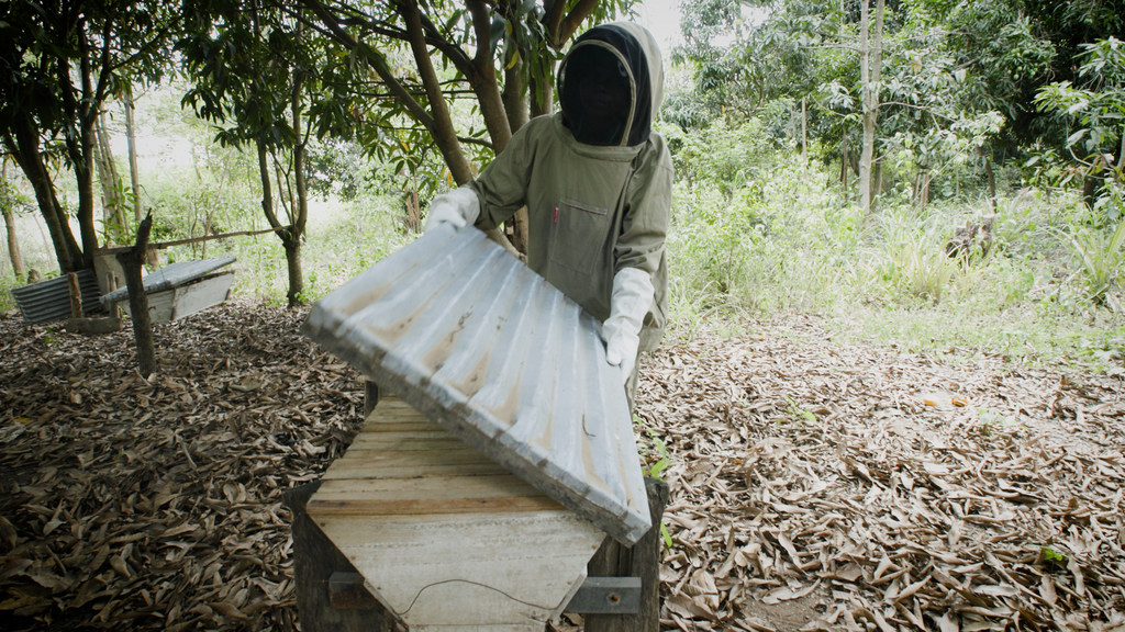 La apicultora Betty Aykoru trabaja para Honey Pride.
