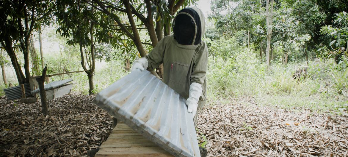 Beekeeper Betty Ayikoru, Arua, bluish   Uganda