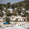 Des rangées de tentes sur le site informel de l'oliveraie à l'extérieur du centre d'accueil de Moria. (24 septembre 2019)