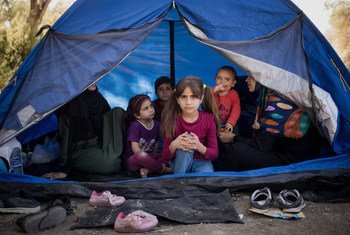 A Syrian family from Idlib who have recently arrived in Lesvos, Greece, take shelter in an olive grove adjacent to Moria reception centre. (23 September 2019)