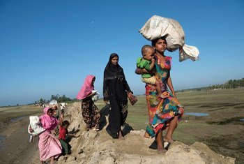 Des réfugiés rohingyas fuient le Myanmar vers la province de Cox's Bazar, au Bangladesh.