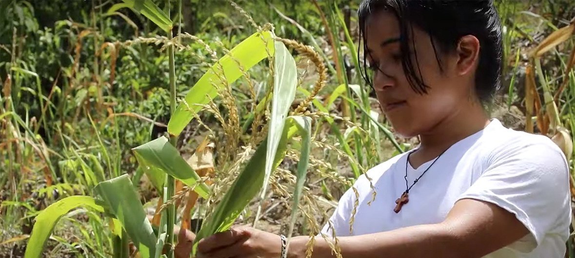 Special Rapporteur Maya Kaqchikel, from Guatemala, urged Governments worldwide to ensure that indigenous peoples have access to information about COVID-19 in their languages.