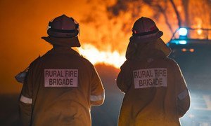 Two firefighters in Queensland, Australia, during the 2020 wildfires which devastated large swathes of the country.