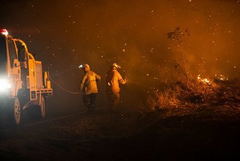 Bomberos en Queensland, Australia, se enfrentan a un incendio. 