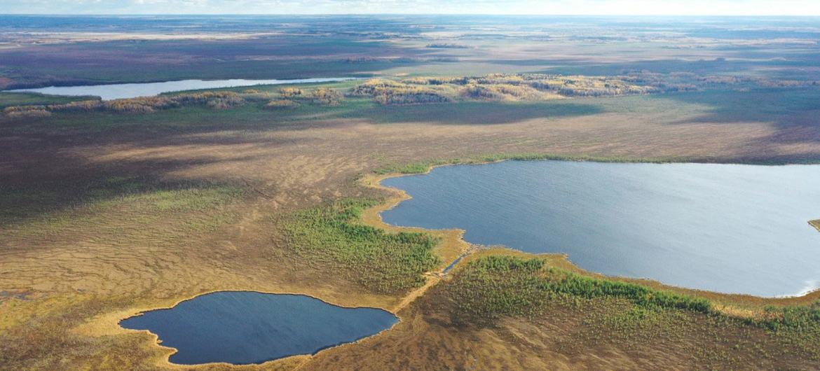 Торфяные болота занимают 12,3 процента территории Беларуси.