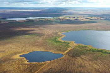 Торфяные болота занимают 12,3 процента территории Беларуси.