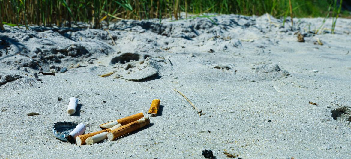  When improperly disposed of, cigarette butts are a form of plastic pollution that can harm marine life and poison waters.