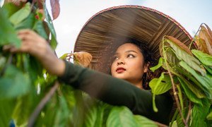 Chef Louise Mabulo, 2019 UNEP Young Champion of the Earth.