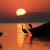 मैक्सिको की चपाला झील में सूर्योदय का नज़ारा