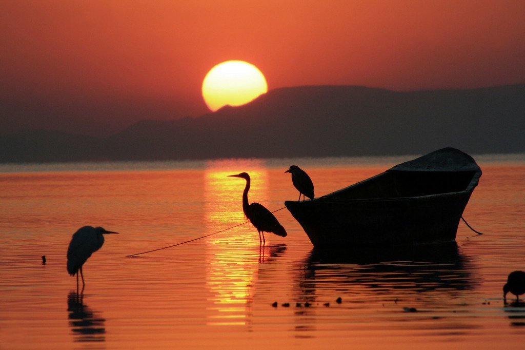Lever de soleil sur le lac Chapala au Mexique. 