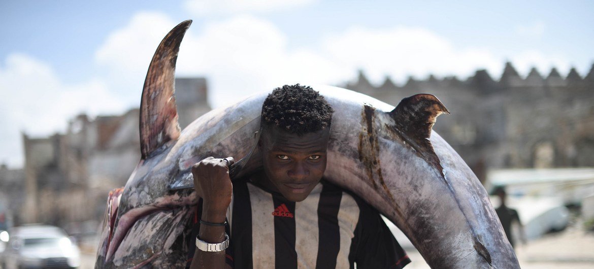 Um pescador carrega um peixe marlim para o mercado no distrito de Hamarweyne, Mogadíscio, Somália. A pesca é uma atividade econômica importante na Somália.