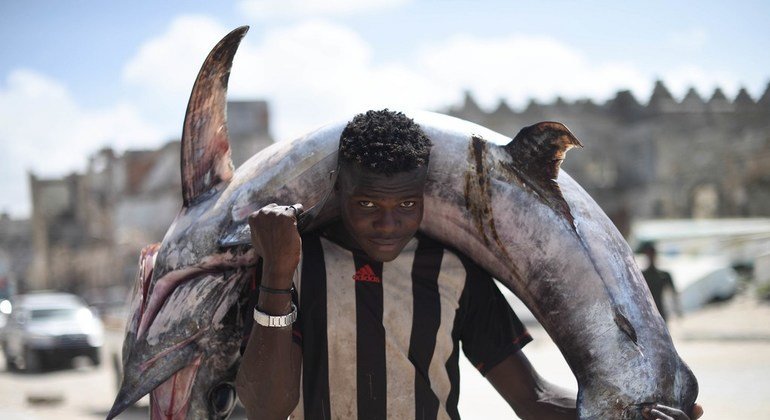 صيّاد سمك يحمل سمكة باتجاه أحد الأسواق في مقديشو بالصومال (يونيو 2018). صيد السمك هو جزء مهم في اقتصاد الصومال.