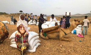 The World Food Programme (WFP) resumed its operations in the Tigray region of Ethiopia after fighting had halted its emergency response.