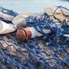 Вот такой улов. От пластиковых отходов страдают более 600 видов морских обитателей.