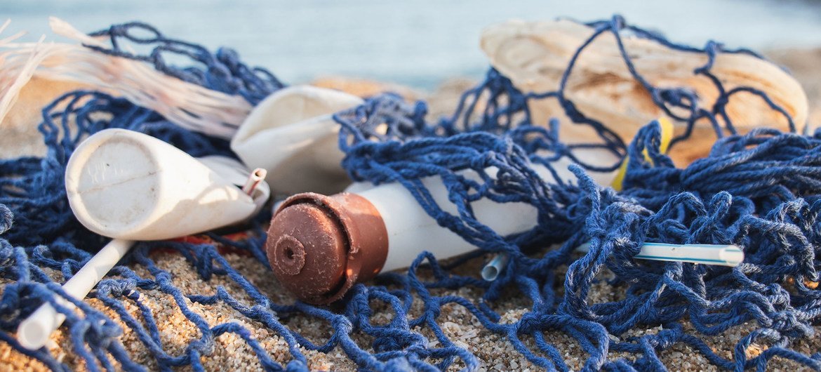 Plástico e lixo no geral prejudicam 600 espécies marinhas.