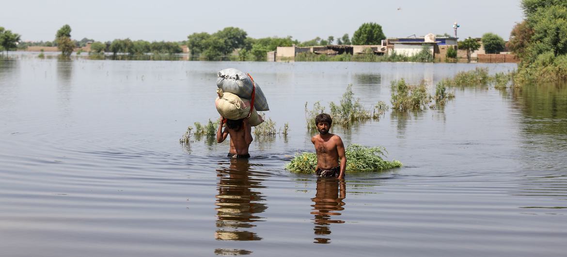 पाकिस्तान के सिन्ध प्रान्त में भीषण बाढ़ से जलमग्न एक गाँव.