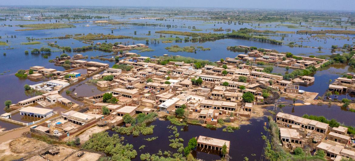 在巴基斯坦信德省的马蒂亚里，一座被洪水淹没的村庄。
