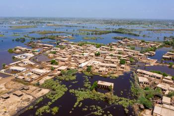 在巴基斯坦信德省的马蒂亚里，一座被洪水淹没的村庄。