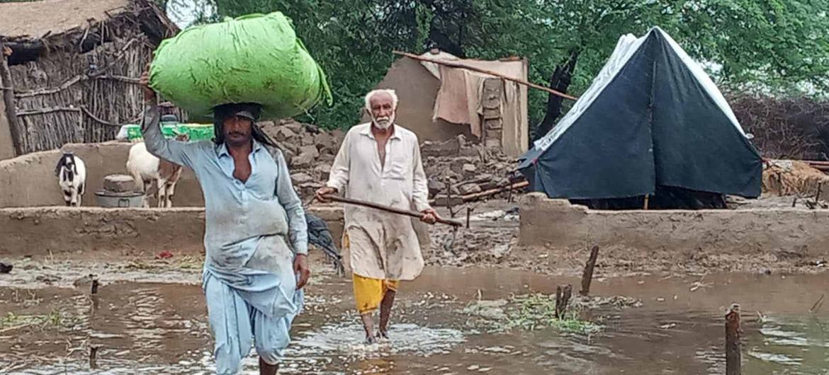 El PMA distribuye comida a la población afectada por las inundaciones en Pakistán.