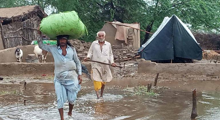 WFP is on the ground in Sanghar, Sindh, registering those affected by the severe floods for food distribution.