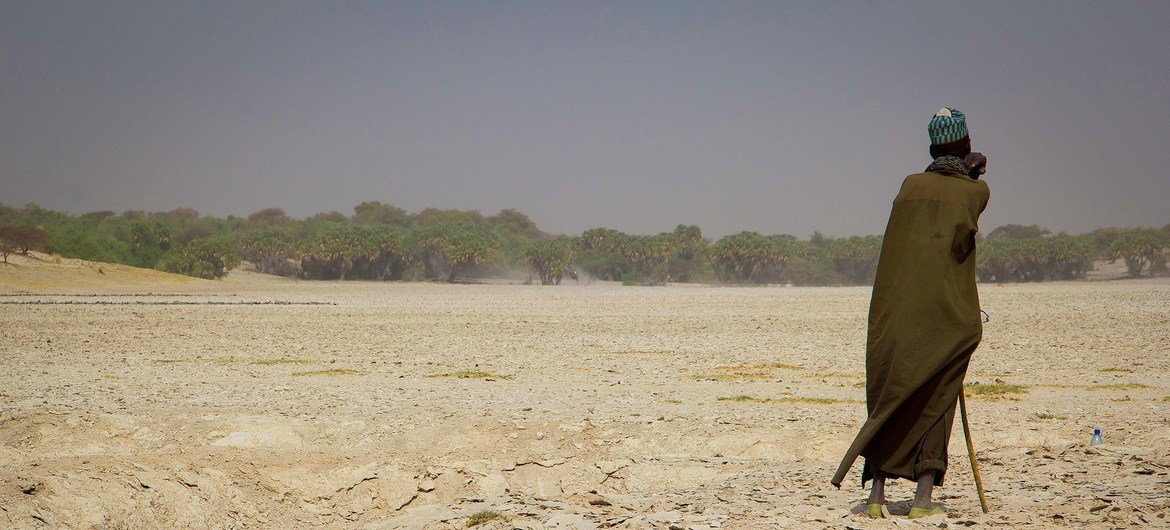 在过去的50年里，乍得湖已经失去了90%的面积。