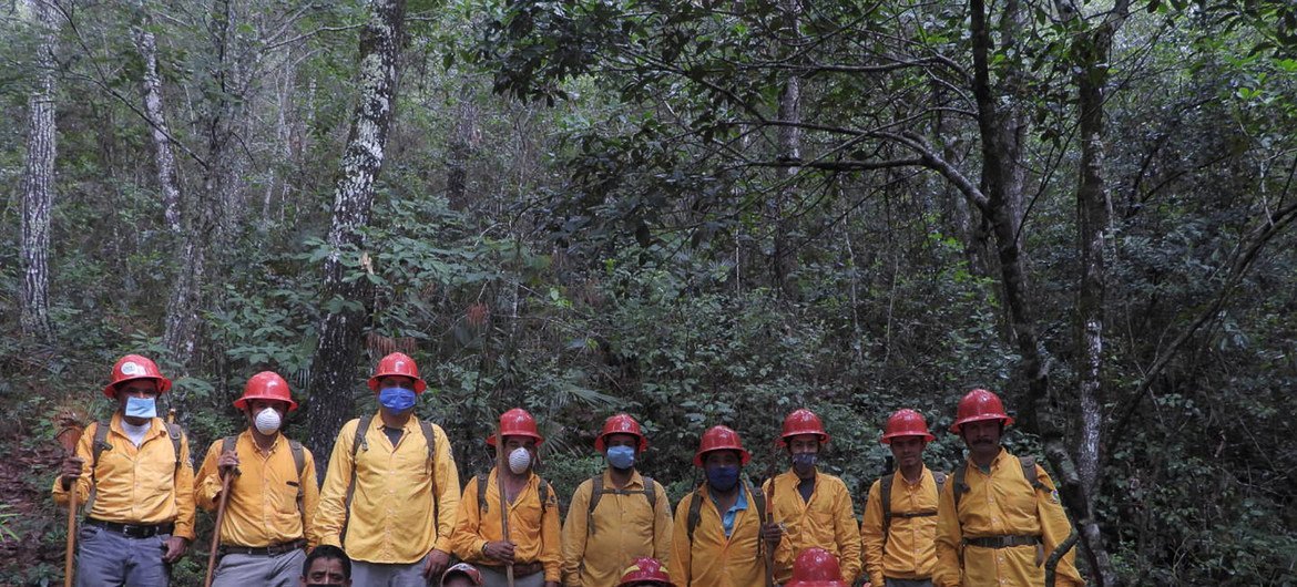 Brigada contra incendios en la Sierra Gorda de Querétaro